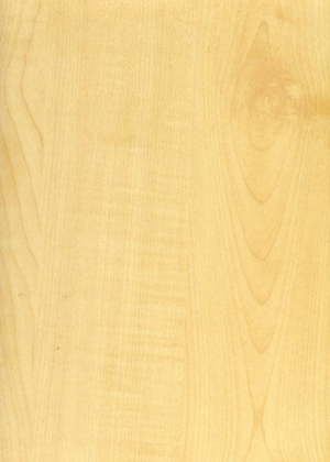 adhesive vinyl rolls